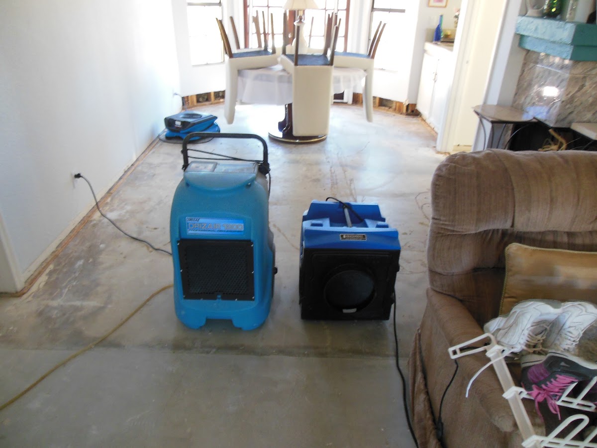 Mold Removal Naples Fl