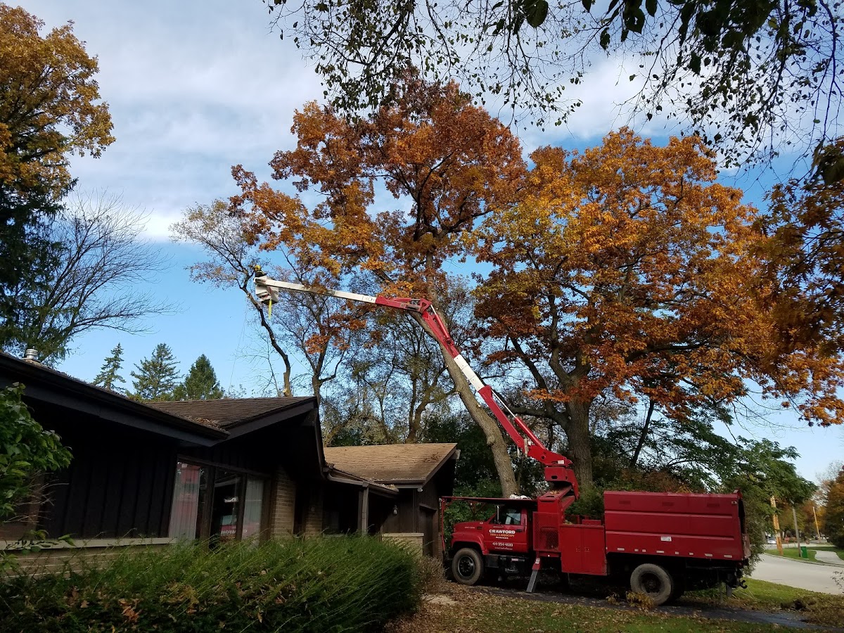 crawford tree and landscape