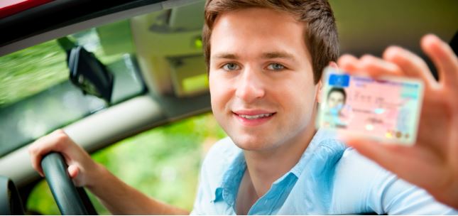 Canadian Professional Driving School reviews