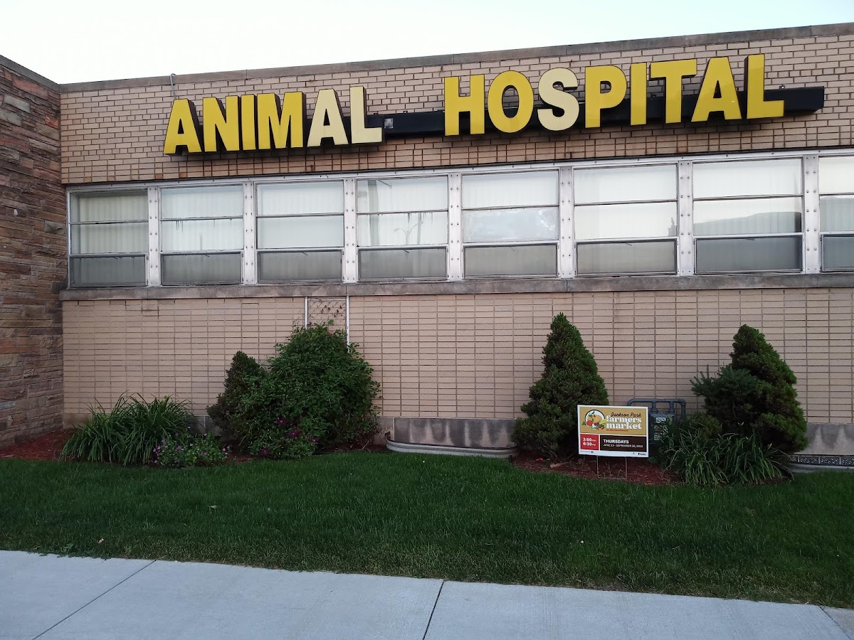 Milwaukee Animal Hospital - Reviews by Real Customers - TrustAnalytica