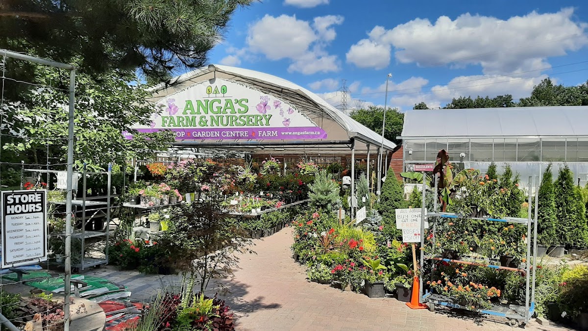 Anga's Farm & Nursery reviews