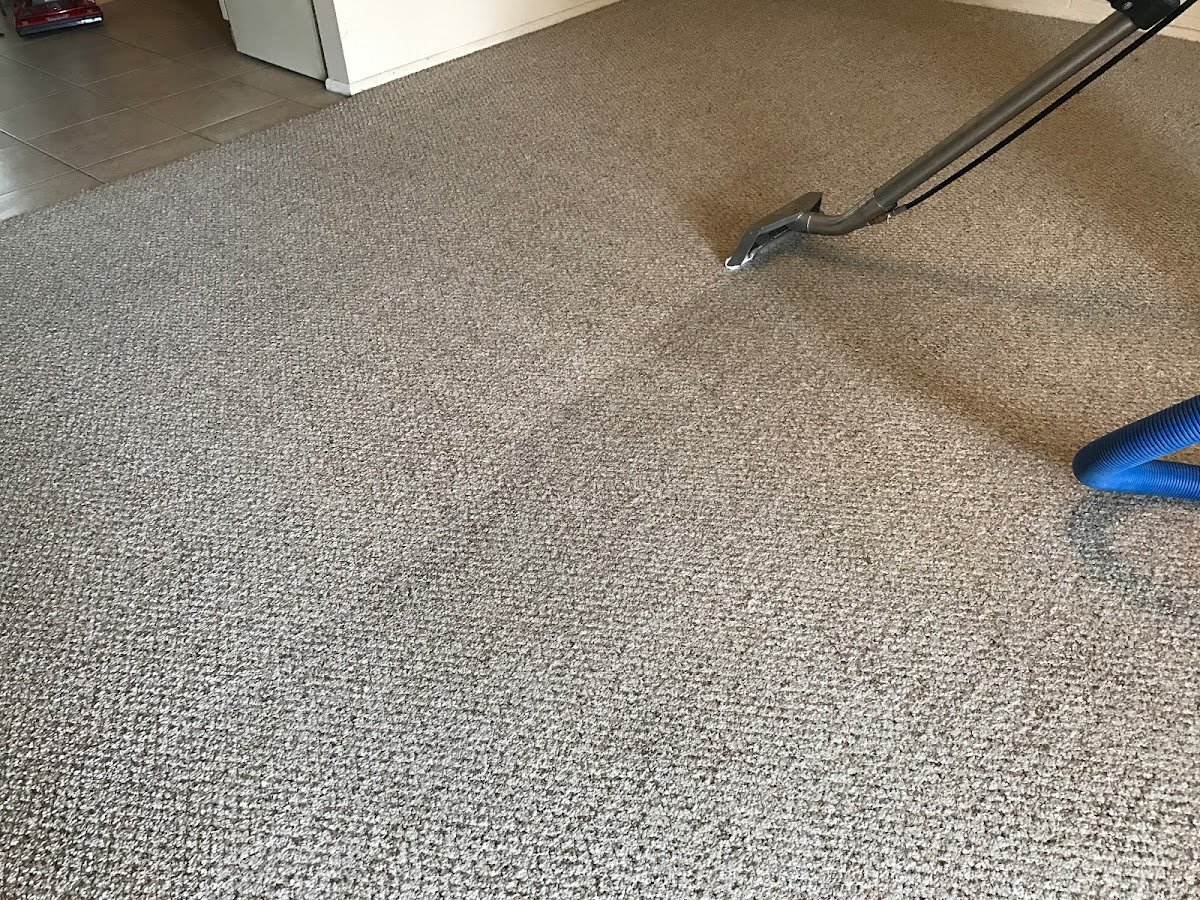 Zion Carpet and Tile Cleaning