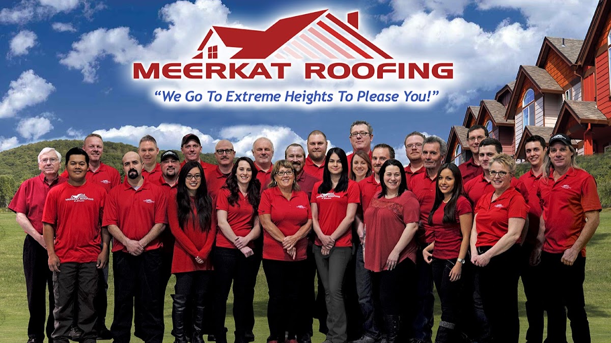 Meerkat Roofing & Exteriors reviews
