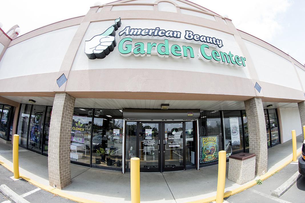 American Beauty Garden Center reviews
