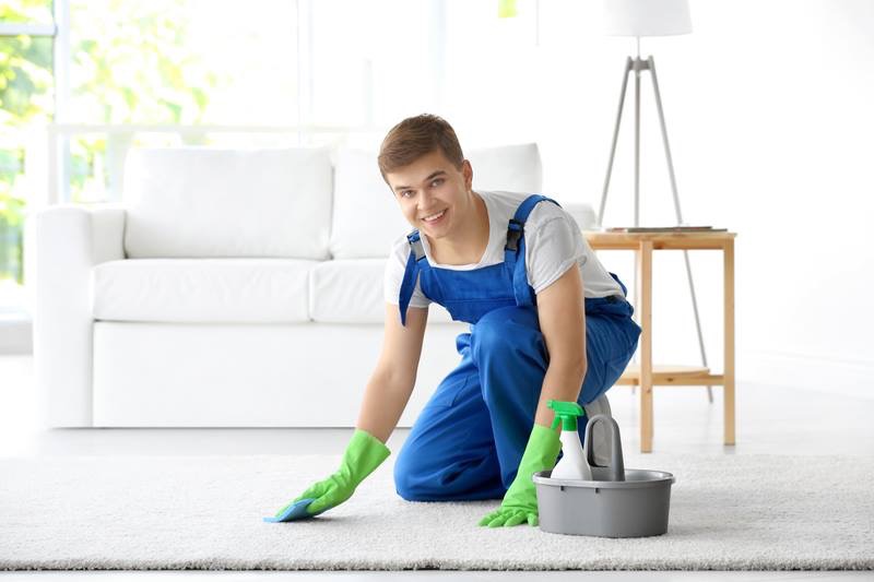 Zanjani Cleaning Services Inc reviews