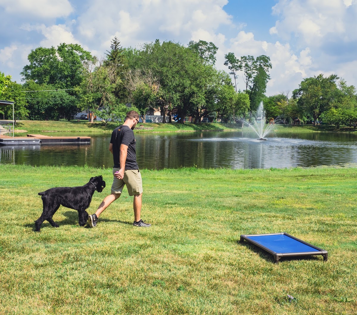 Naperville - Dog Training from Stayyy.com