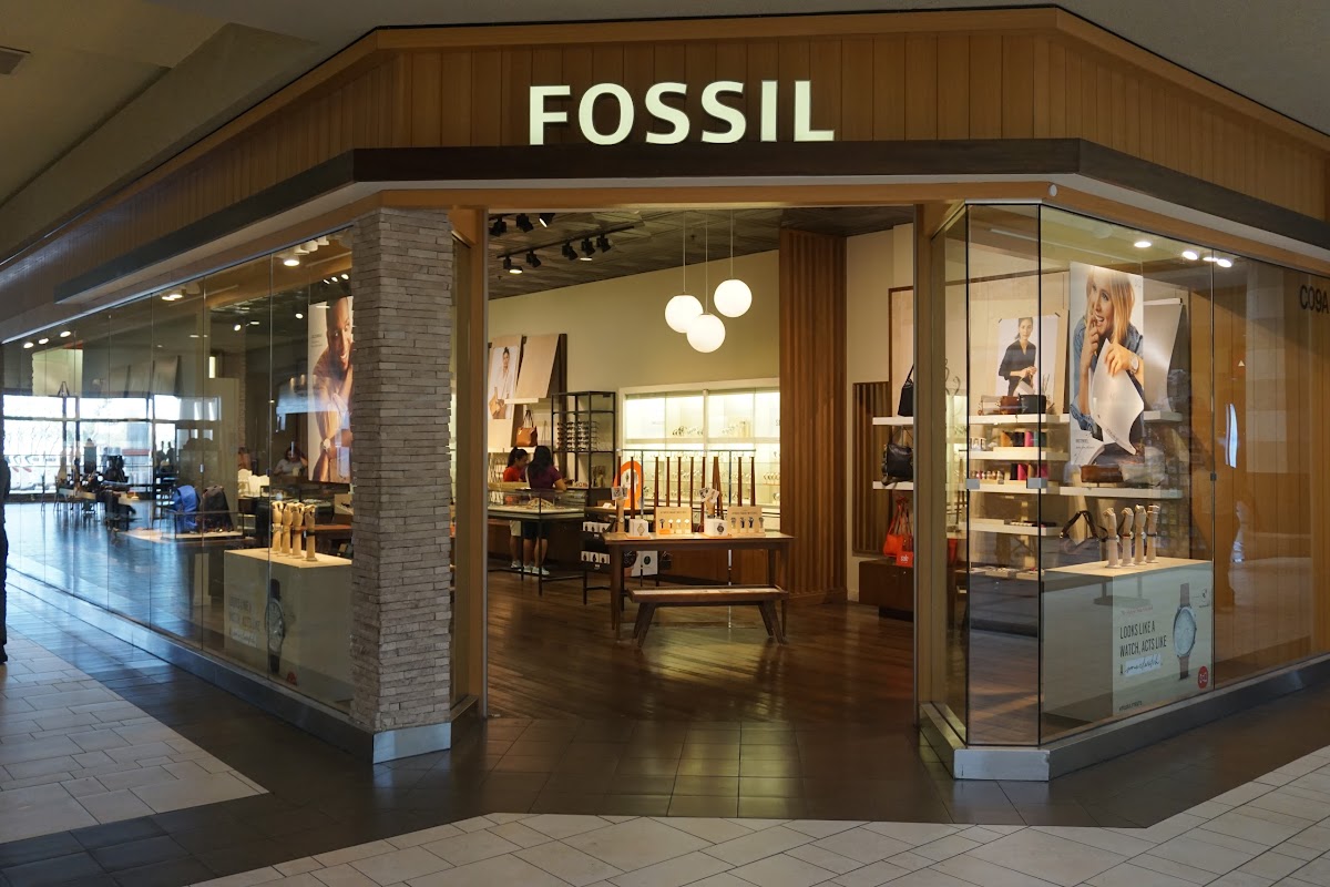 Fossil store hotsell la cantera