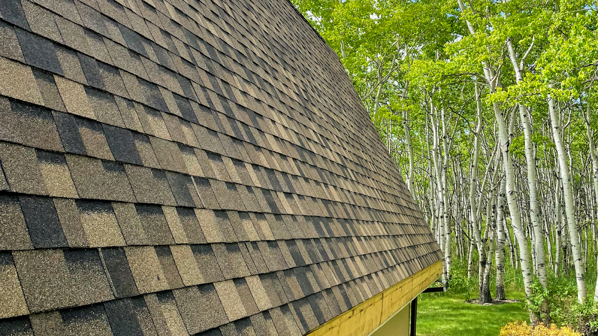 National Star Roofing Inc reviews