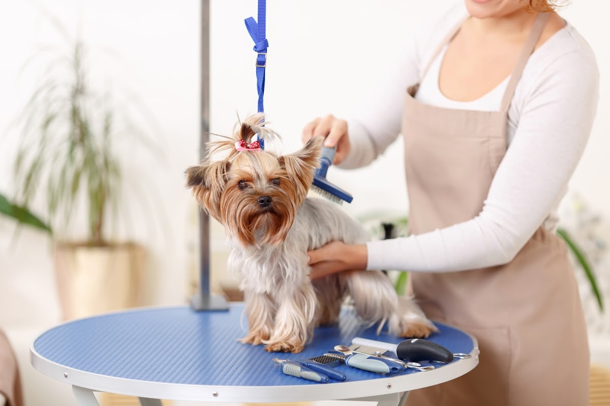 Happy Paws Grooming & Daycare reviews