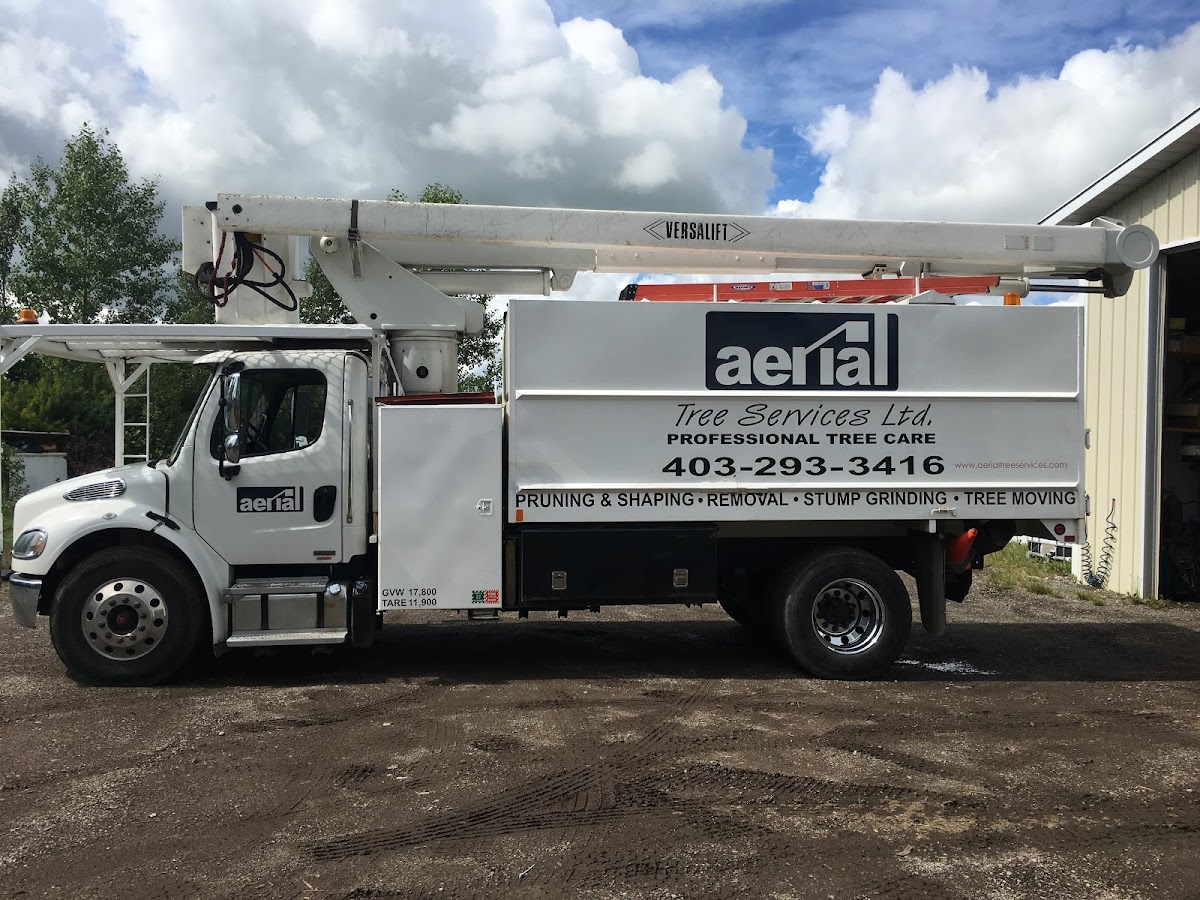 Aerial Tree Services reviews
