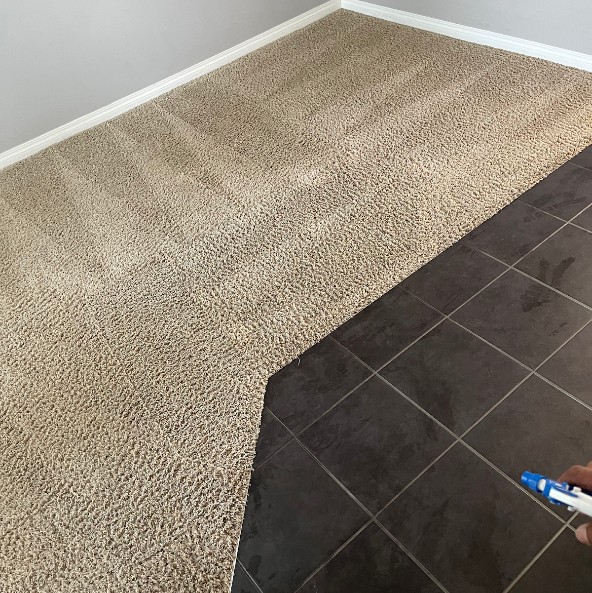 Quality Carpet and Tile Cleaning reviews