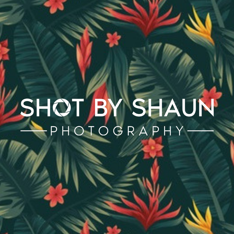 5.0 Shot By Shaun Photography Reviews by Real Customers 2024