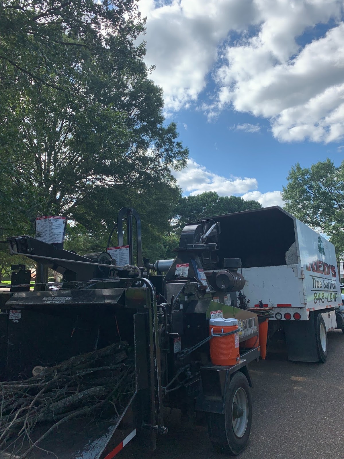 andy's tree service & stump grinding