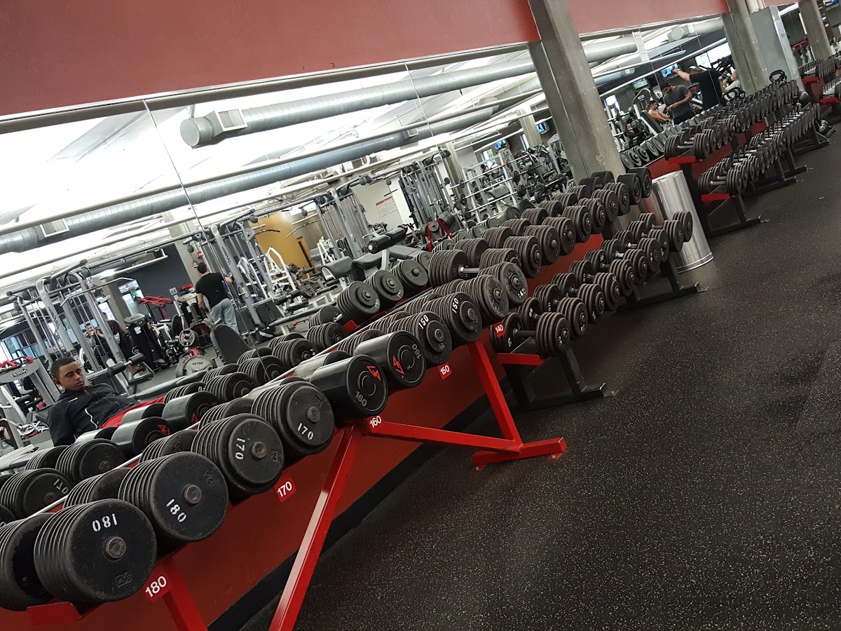 ⭐ Top 36 Best Gyms in California - 5 Star Rated Near You - TrustAnalytica