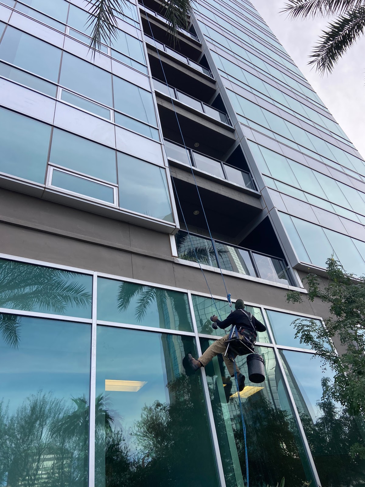 Clean Towers Window Cleaning reviews