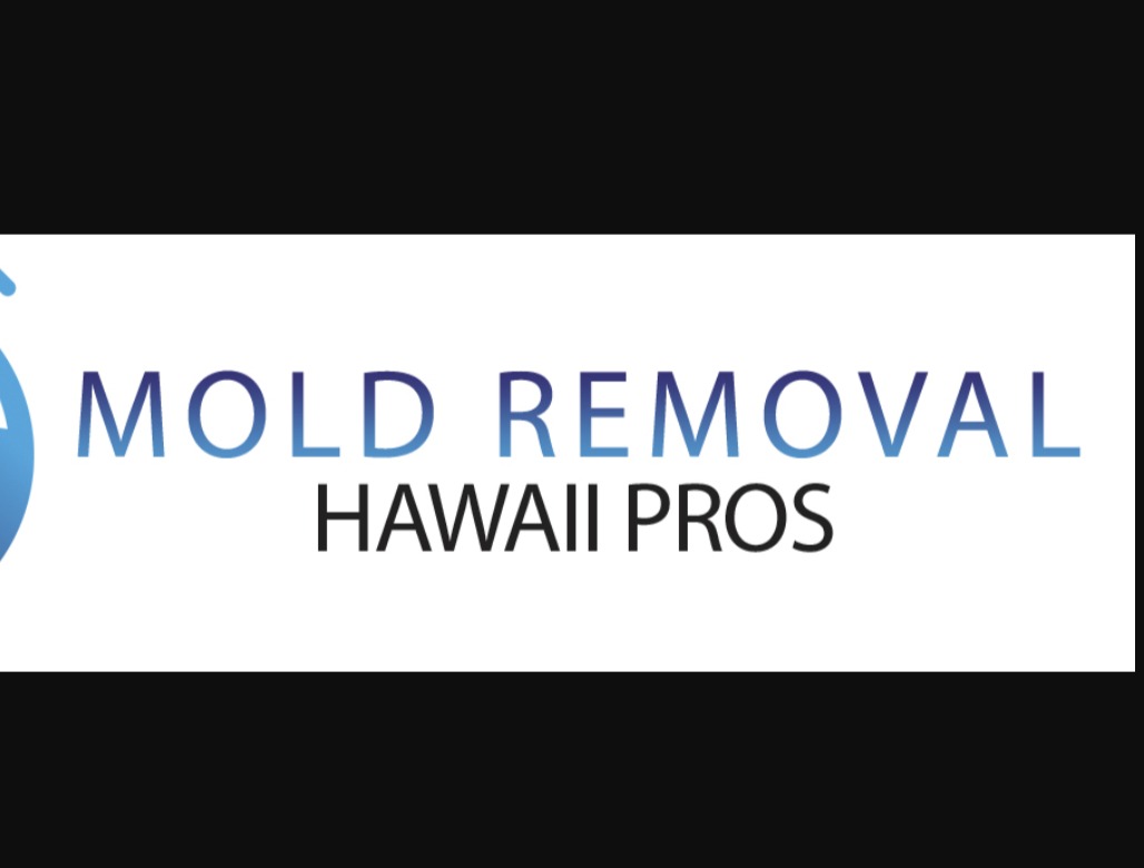 Mold Removal Hawaii Pros