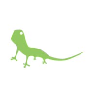 Visual Lizard