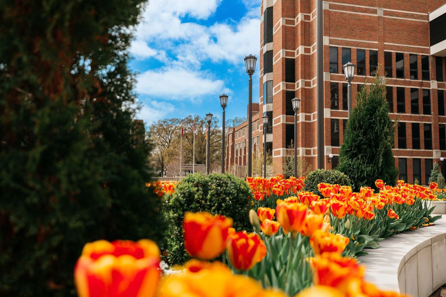 University of Tennessee Health Science Center