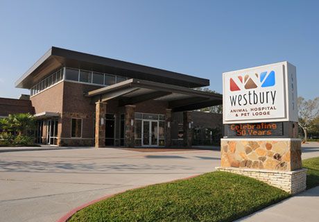 Westbury Animal Hospital
