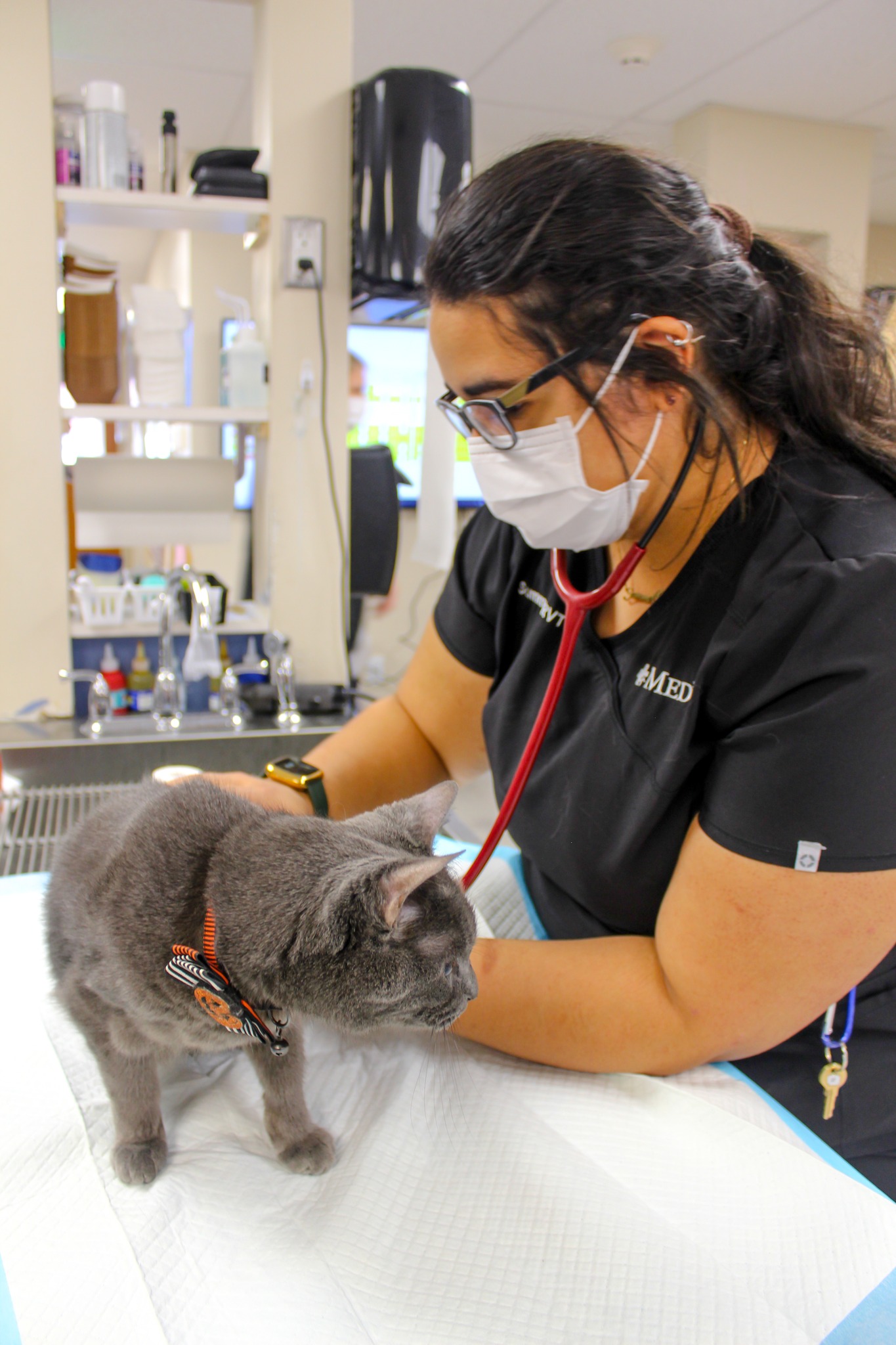 MedVet Silicon Valley