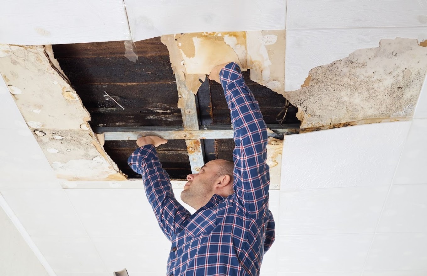 Silicon Valley Capital Water Damage Experts