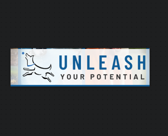 All Dogs Unleashed Dog Training Denver