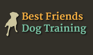 Best friends best sale dog training