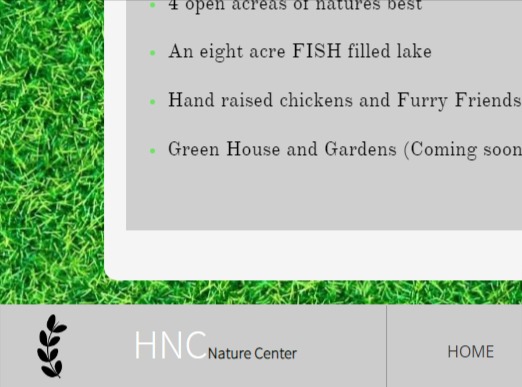 Herb N Chick Inc.