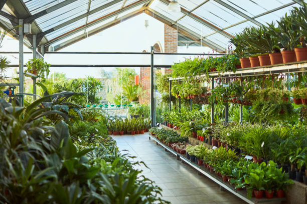 Dutch Growers Saskatoon