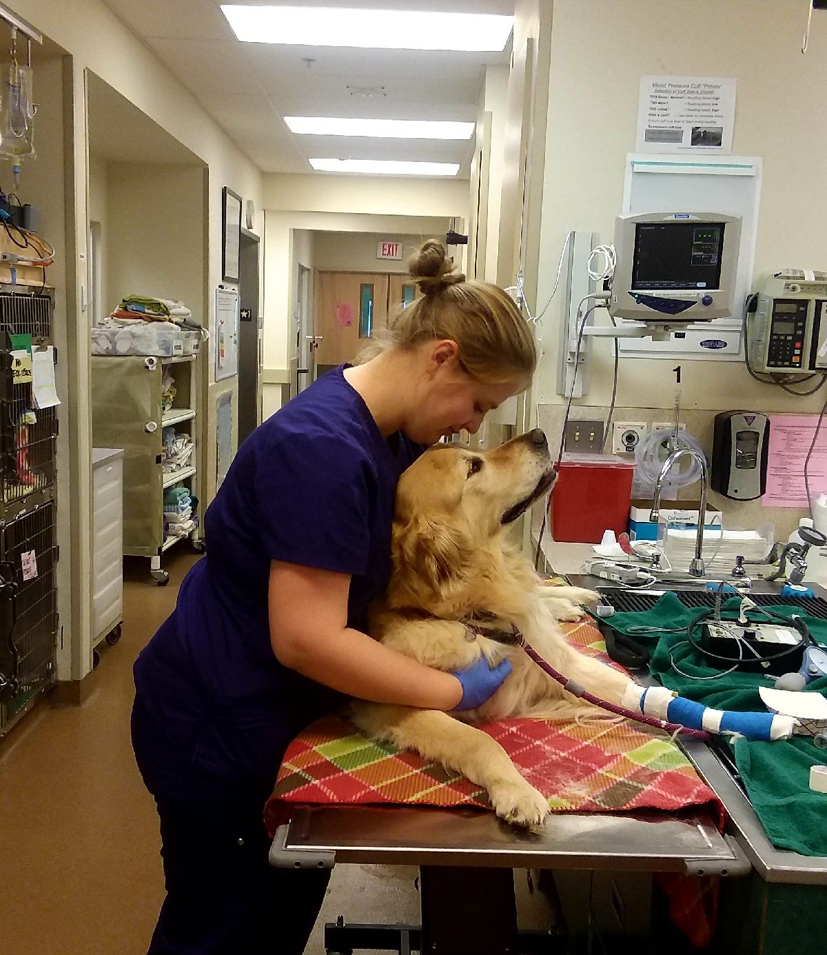 Lambeth Animal Hospital