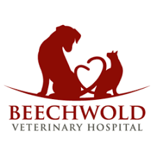 4.2 ⭐ Beechwold Veterinary Hospital Reviews by Real Customers 2023