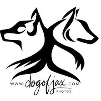 Dog Obedience Group of Jax