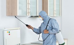 Conquest Pest Solutions