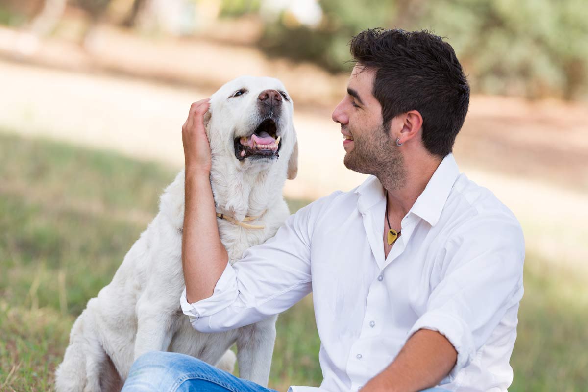 Wannagoout? Dog Walking & Pet Sitting