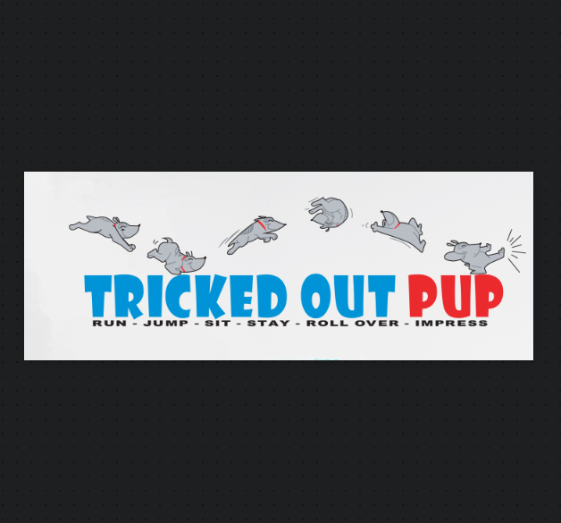 Tricked Out Pup