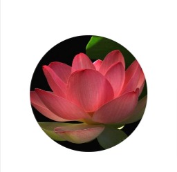 Personal Image PLLC