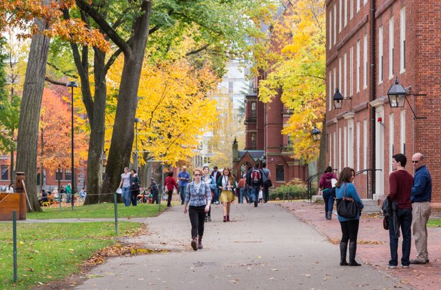 St. Thomas More College