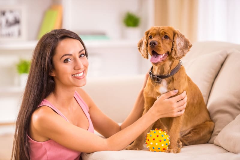 Barks and Recreation