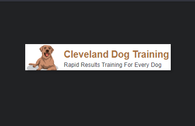 Rapid Results Dog Training