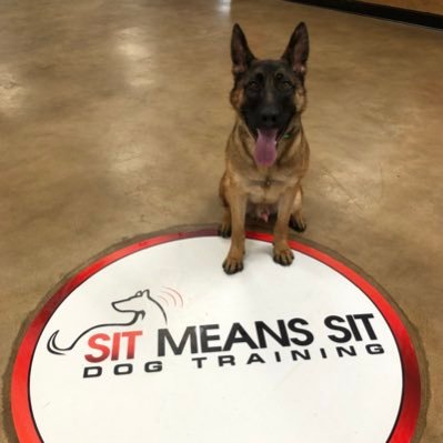 Sit Means Sit Dog Training OKC