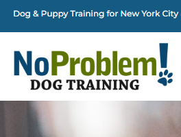 No Problem! Dog Training