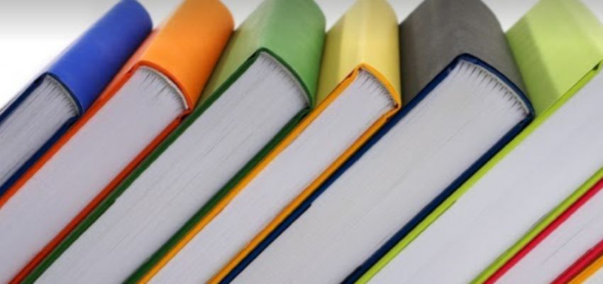 Anne Schlichter Reading Specialist