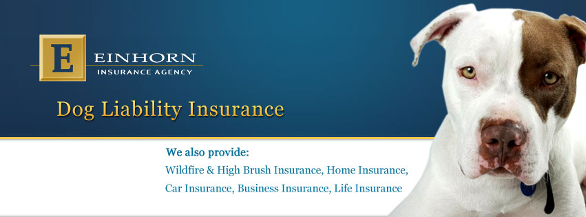 Einhorn Insurance Agency