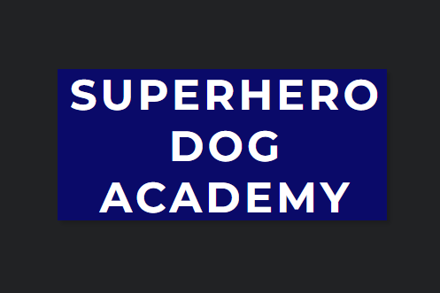 Superhero Dog Academy SLC