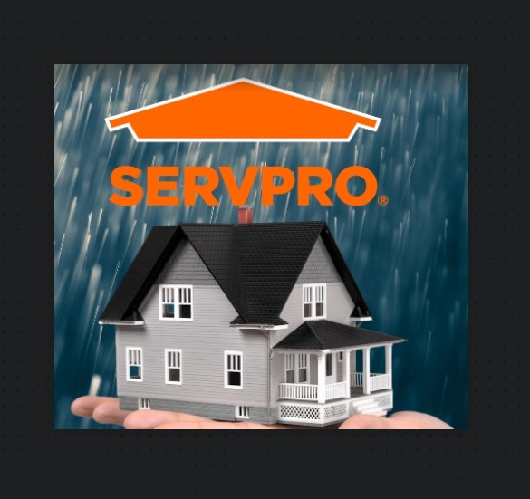 4.8 ⭐ SERVPRO of Silver Lake / Echo Park Reviews by Real Customers 2024