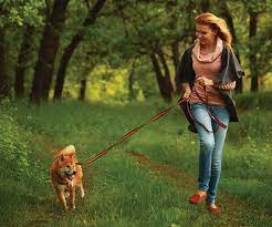 Wagging Tails Animal Care