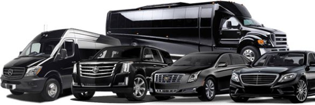 Elite Charter Limousines & Shuttle Services LLC