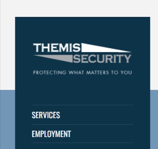 Themis Security Services Ltd.