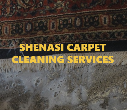 Shenasi Carpet