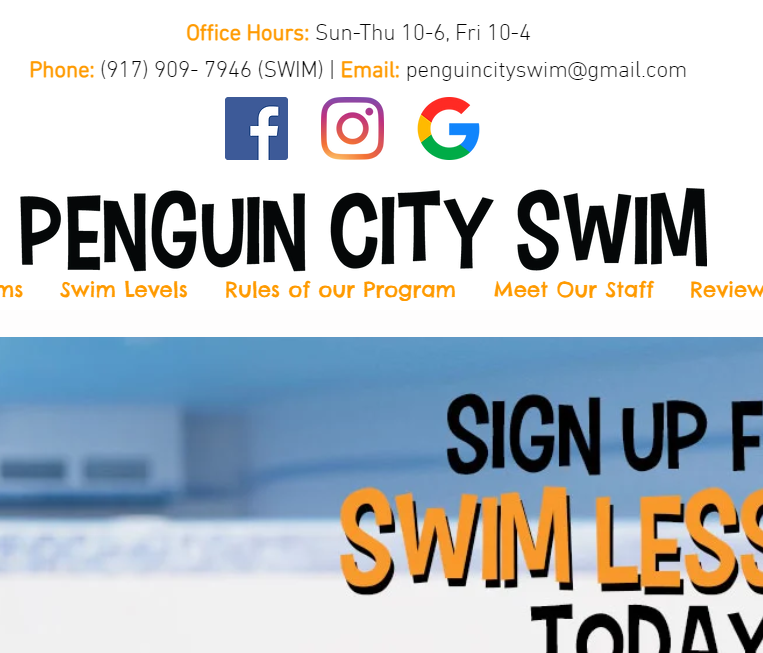 Penguin City Swim